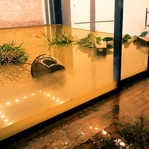 commercial flood disaster